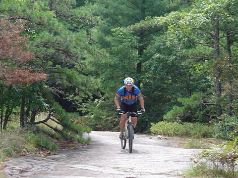 Standing at Dupont State Forest